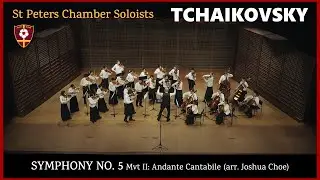 Tchaikovsky Symphony No. 5 - 2nd Mvt (Andante Cantabile) arr. Joshua Choe