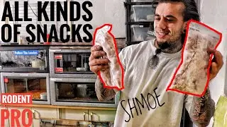 RODENT PRO UNBOXING!!!