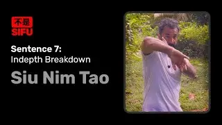 Siu Nim Tao: Sentence 7 in-depth breakdown