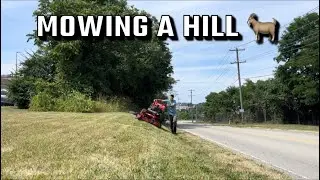 Skill Is Required To Mow On Slopes Like A 🐐