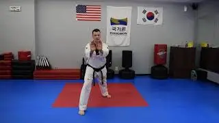 Brown Stripe Hand Technique 1