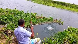 Hook Fishing Videos 🎣🎣✅✅ Amazing fishing videos in River #fish #fishing #hook #hook_fishing #মাছ