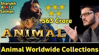 Animal movie worldwide collections | Animal breaks all records | Pathan | Gadar 2 | Jawan