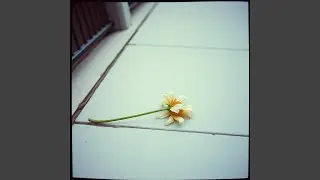 Leave Without