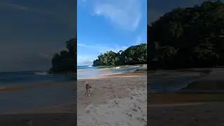 Sri Lanka today, Talalla beach