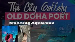 Free Entry 📍| Stunning Aquarium and City Gallery in Old Doha Port Qatar