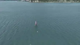 WIND FOIL RIDE R71029- 0982