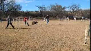 weavepole race