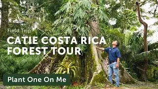 TOUR CATIE: Costa Rica's Tropical Research Gardens — Ep. 402