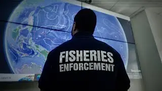 Cosa stanno facendo le Isole Marshall per difendere il loro patrimonio ittico?