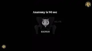 Learn Human Bone Easily | Skeleton Muscle | Structure of Bone | Anatomy and physiology of bone  |🥼🦴💯
