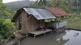 Kolam Buat Pemancingan Di Atas Nya Ada Kandang Ayam