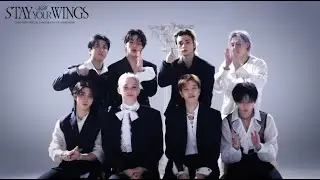 STAY 6th Gen Welcome Video #straykids #kpop
