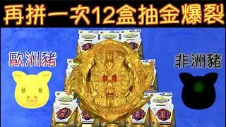 【 彼得豬 PeterPig 】 爆烈世代 GT 第二次12盒 B-157 『運氣實測篇』 只求1顆 金色 爆裂創世神 ～拜託啦！人品爆發啊～～ BEYBLADE
