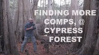 Finding more Photo Opportunities at a Cypress Forest! 4k