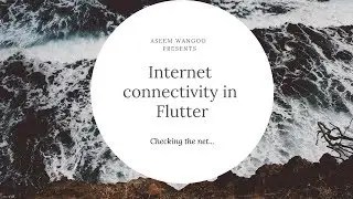 Internet Connectivity in Flutter | How to detect Internet Connectivity in Flutter | @aseemwangoo