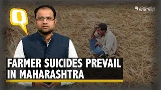 Maharashtra Government&rsquo;s Loan Waiver Scheme: Hit or Miss?     | The Quint