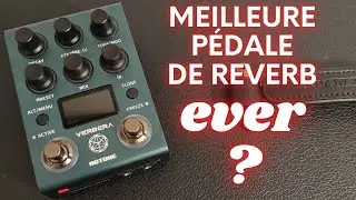 Hotone Verbera : La meilleure p&eacute;dale de reverb ?