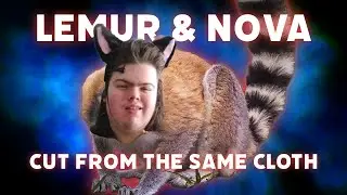 SIMILARITIES BETWEEN THE LEAPING LEMUR AND NOVA - Nova Online Reaction #24