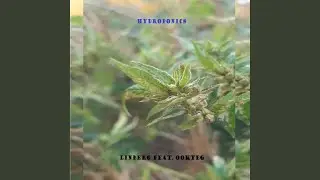 Hydroponics
