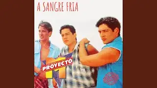 SOLO SOY