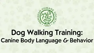 Dog Walking Training: Canine Body Language and Behavior