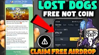 Lost Dogs Rex New Update | FREE Not Coin | Woof Coin Withdrawal |Lost Dogs AirDrop Withdrawal Update