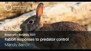 Rabbit responses to predator control