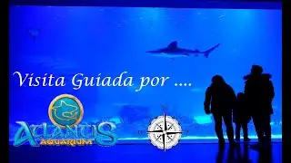 Visita Guiada por Atlantis Aquarium Madrid, Xanadú