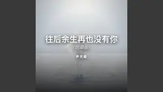 往后余生再也没有你 (沧桑版)