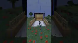 Safe Zone #minecraft #fy #survival
