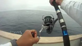 2.5 Day Fishing Trip onboard the Pacific Star with Senor Tuna & Friends--Yellowtail Hookup #1