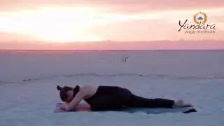 Eka Pada Rajakapotasana | One-Legged King Pigeon Pose by Allison  Eaton