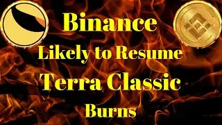 Breaking Crypto News | Binance Likely to Resume Terra Classic Burns