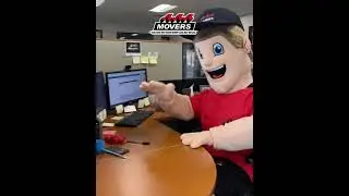 Jason Matheson - What About AAA Movers Impressed You?