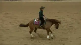 Ice Cube and Luca Fappani High Roller Reining Classic