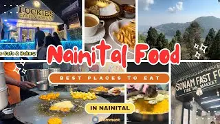 Famous Food Places in Nainital | Nainital Food Tour| Nainital | Nainital Food Vlog