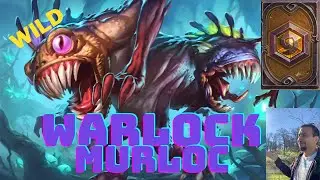 Wild Murloc warlock Part 1 Voyage to the #sunkencity  #hearthstone #wildhearthstone