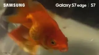 Samsung Galaxy s7 edge - water test aquarium