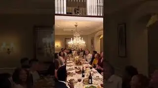 Cat Swings from Chandelier, Dinner Disaster!