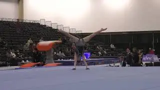 Michael Weiner  - Floor Exercise  - 2024 Elite Team Cup