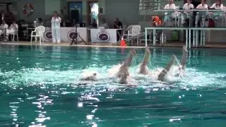 FINAL EQUIPO JUNIOR FABIO NELLI
