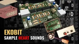 Heart sound samples of CMCEKOBIT | Clinical Engineering | IIT M | Shreenandan 