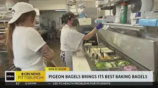Pigeon Bagels in Squirrel Hill brings its best baking bagels