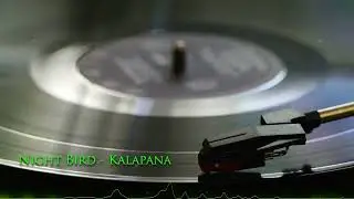 Nightbird — Kalapana (NeoSessions Cover)