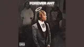 FOREVER ANT