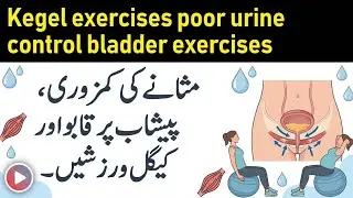 Kegel Exercises for Urine control |Pelvic Floor EXERCISES for Urinary Incontinence in weak bladder 