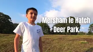 Mersham le Hatch, Deer Park [4K] Ashford, Kent