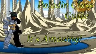 ~Aqw~ Paladin Class Guide I It's Amazing!