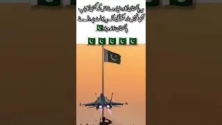 &ldquo;Bulletproof Pakistani Jet Destroys Enemy &mdash; Long Live Pakistan!&rdquo;